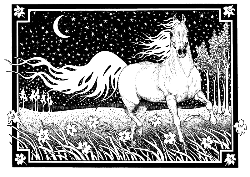 "Night Run" by Joni Solis of Horse-Logos.com Arabian Horse Pen and Ink Art